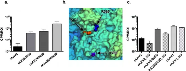 Figure 2.4. Effect of capsid:heparin interactions on the transduction 