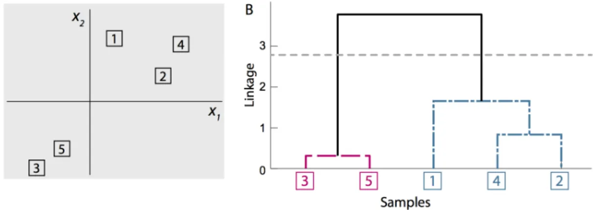 Figure 1.4: Hierarchical clustering with squared Euclidean dissimilarity and average linkage is applied to 5 observations of the bivariate variable, x