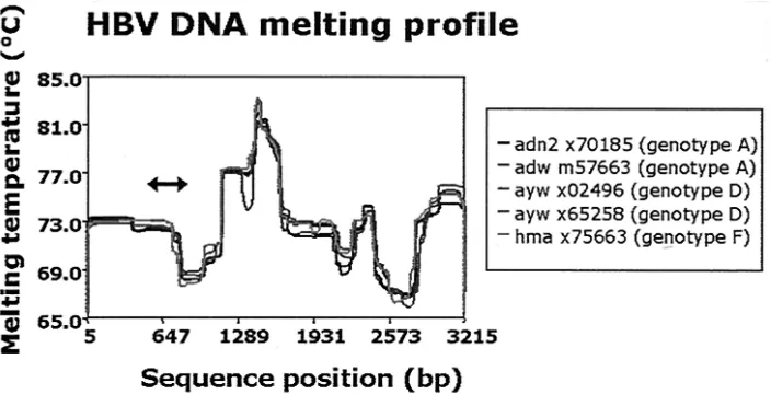 TABLE 1. Sequences of the primers and molecular beacon probe used in the HBV DNA real-time NASBA