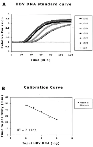 FIG. 4. (A) DNA standard curve generated from HBV DNA plasmid 10-fold dilution series