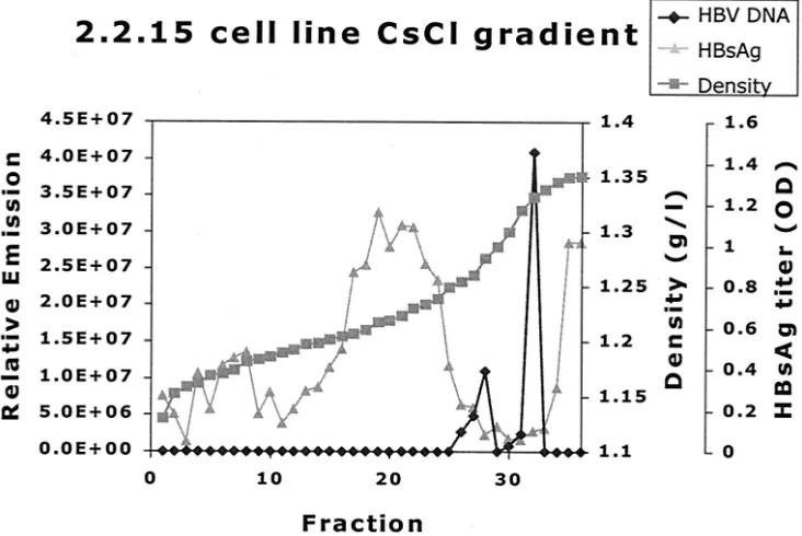 FIG. 7. CsCl gradient analysis of HBV-positive cell line culture medium. One milliliter of puriﬁed HBV-positive cell line (2.2.15) medium wascentrifuged across a CsCl gradient(see Materials and Methods)