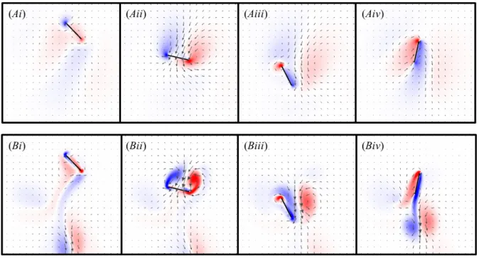 Figure 3.8. Vorticity plots of the tilted stroke during the 4 th  wingbeat at (A) Re=10 and (B) Re=100,  shown at (i) the beginning of downstroke, (ii) midway through downstroke, (iii) at the beginning  of upstroke, and (iv) midway through upstroke