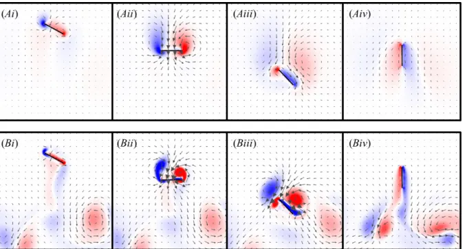Figure 3.15. Vorticity plots of the vertical stroke with a downstroke that is twice as fast as the  upstroke (η=2) during the 4 th  wingbeat at (A) Re=10 and (B) Re=100, shown at (i) the beginning  of downstroke, (ii) midway through downstroke, (iii) at th