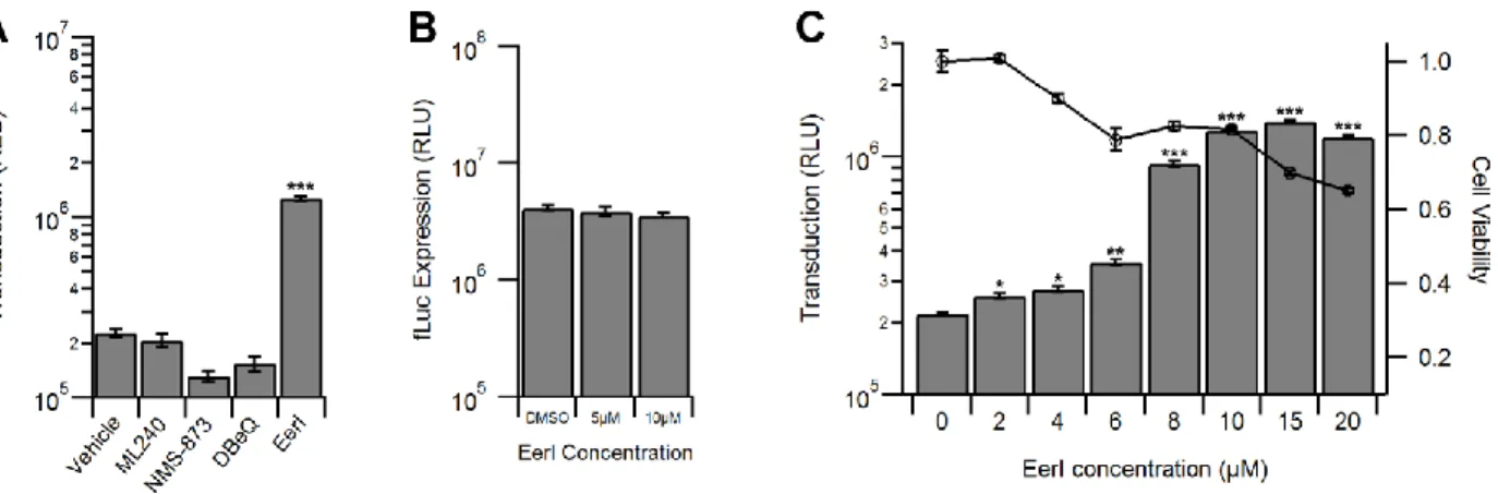 Figure 6: EerI increases vector transduction in a dose dependent manner. (A) Luciferase  reporter expression in HeLa cells pretreated with vehicle control, 1 µM ML240, 1 µM NMS-873,  10 µM DBeQ, or 10 µM EerI were transduced with AAV2-Luc