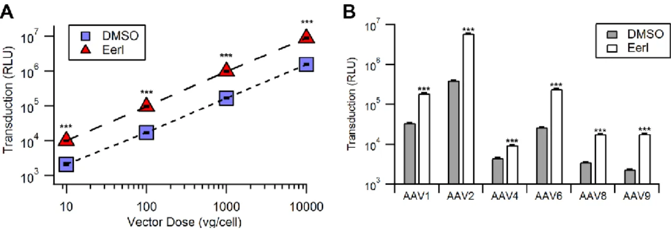 Figure 7: EerI increases vector transduction in a vector dose and serotype independent  manner