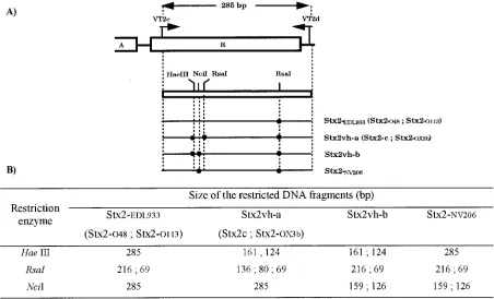 TABLE 2. Association of Stx2 subtypes with virulence factors
