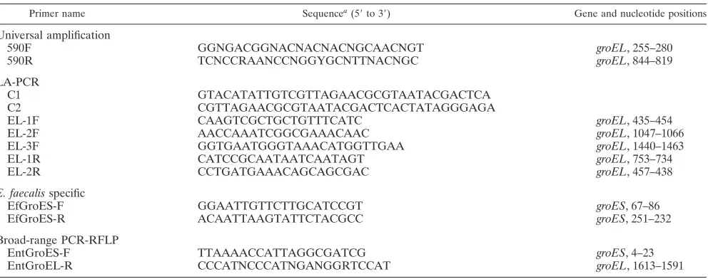 TABLE 1. PCR primers used in this study