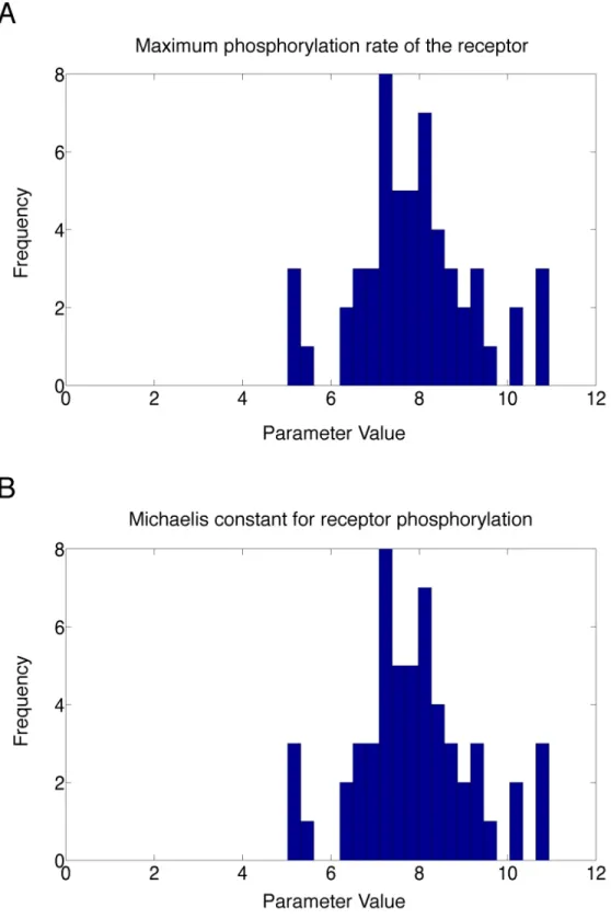 Figure 2.3: Histograms of sensitive parameters in the differential endocytosis model. A.