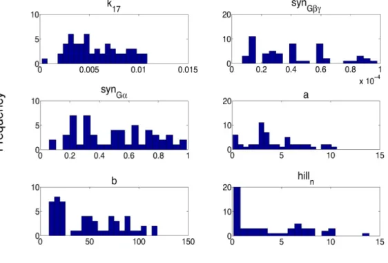 Figure 2.8: Histograms of parameters in the differential endocytosis model.