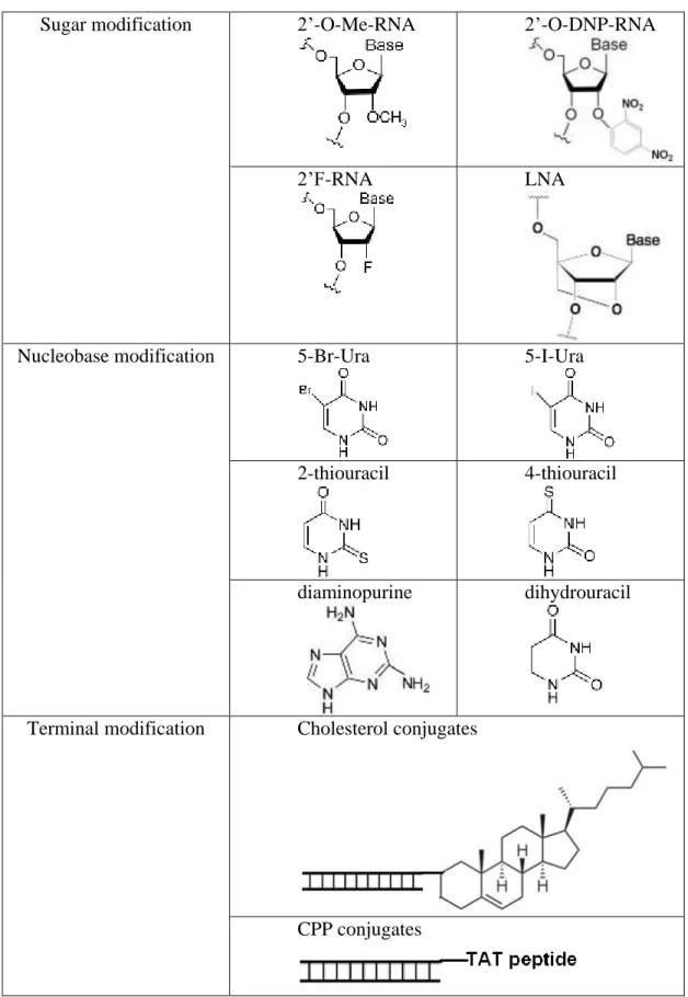 Table 1.1 Some structures of siRNA modifications 