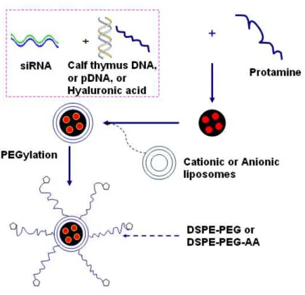 Figure 1.6 Structure and preparation scheme of LPD nanoparticles.  