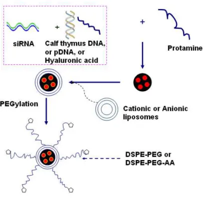 Figure  2.2 The  structure  and  preparation  scheme  of  LPD  (LPD-II)/LPH  nanoparticles