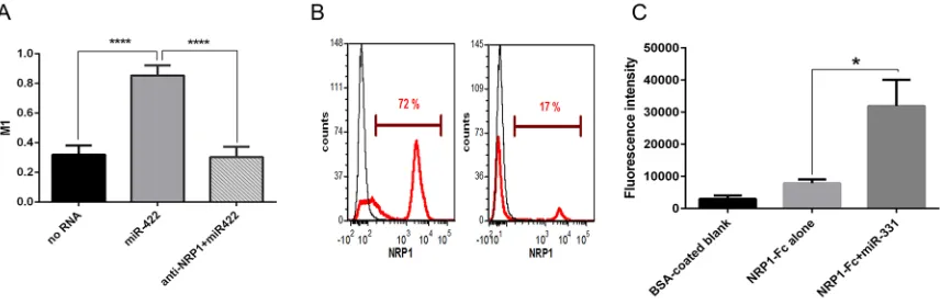 Figure 3: NRP1 colocalization with miRNA conjugated to the beads, unassisted NRP1 knockdown, and binding control
