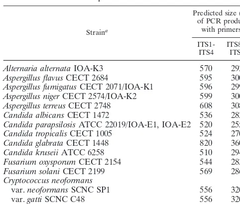 TABLE 1. Strains and source of ocular isolates analyzed by PCRampliﬁcation of rDNA