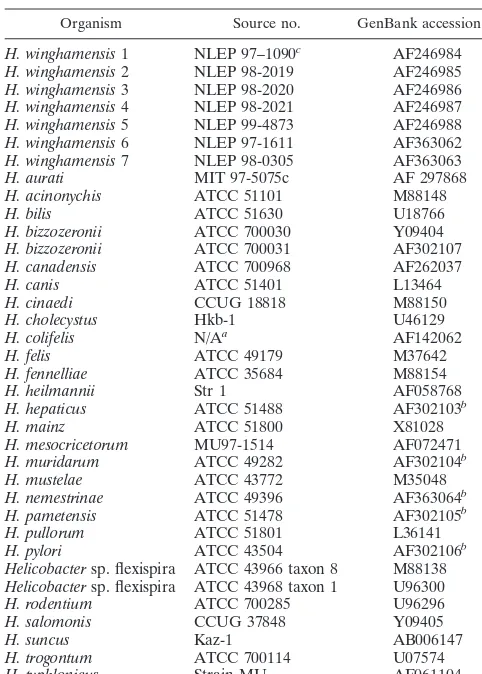 TABLE 1. Helicobacter strains used in this study