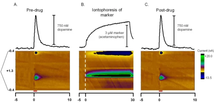 Figure 2.10.  Effect of AP on stimulated dopamine release. The top panels show current as  a function of time while the lower panels are two-dimensional colorplots where current is  shown in false color on the potential vs
