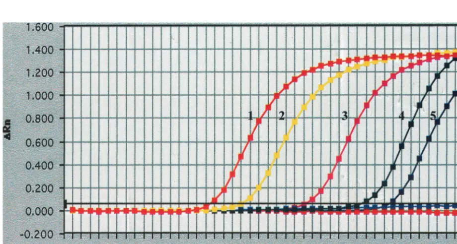FIG. 1. Sequence comparison between the H. hepaticusHh,thesequence determined by Young et al
