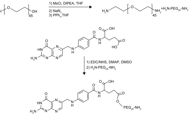 Figure S1 schematic representation of the synthesis of Fa-Peg-Nh2.Notes: To convert the alcohol group in the Peg2K chain to amine group, the polymer was reacted with Mscl in anhydrous ThF to afford a good leaving group