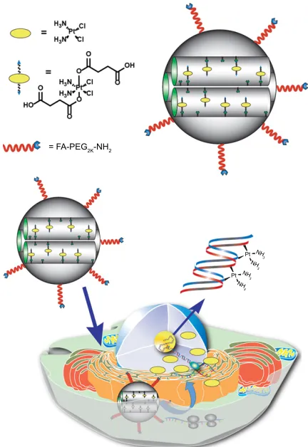 Figure 1 schematic representation of the Fa-conjugated cisplatin(IV) prodrug MsN platform developed in this work.Notes: The MsN-delivery system contains cisplatin(IV) prodrug chemically attached to the surface of the nanoparticle and is decorated with Fa-P