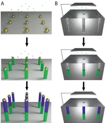 Figure 1.4: Bottom-up synthesis methods. A) Vapor-phase growth of segmented nanowires through the VLS process, with modulation of the gaseous precursor resulting in controlled compositional changes