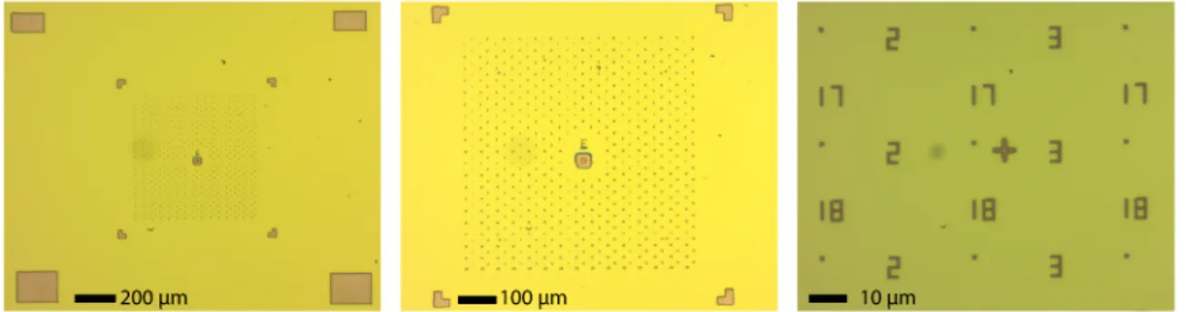 Figure 2.3: Marker pattern. An example of a marker pattern after dry etching