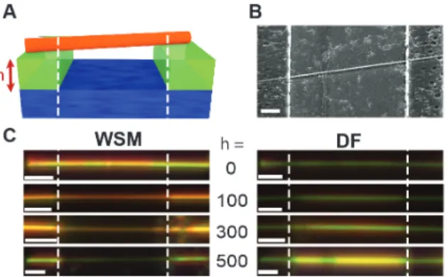 Figure 3.3: Surface Sensitivity of WSM (A) Schematic of a wire suspended over a PMMA trench on glass