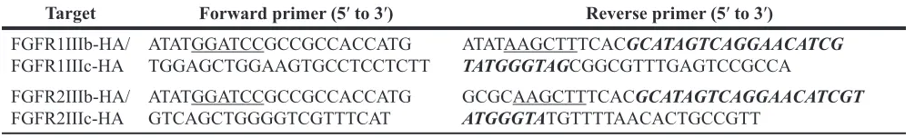 Table 1: Primers used for full length membrane-bound FGFRs
