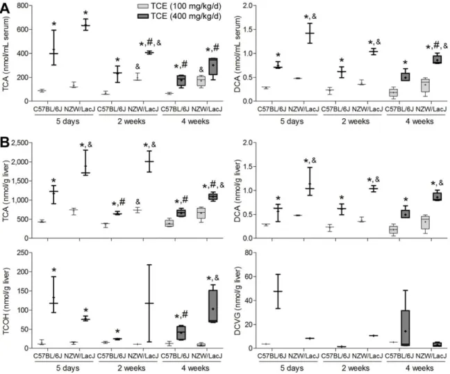 Figure 2.5. Time-course analysis of TCE metabolism in C57BL/6J and NZW/LacJ mice in a  sub-chronic study