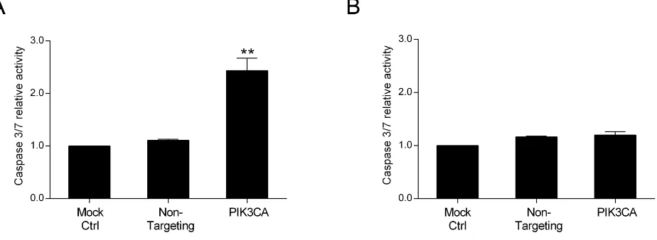 Figure 2: Inhibition of PI3K p110α induces apoptosis in HCT116 CRC cells. The effect of siRNA-mediated targeted depletion of PIK3CA on apoptosis was evaluated by measuring the activity of caspases 3 and 7 in HCT116 A
