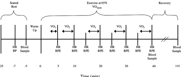 Figure 1.  Time course of measurements during exercise sessions two and three. 