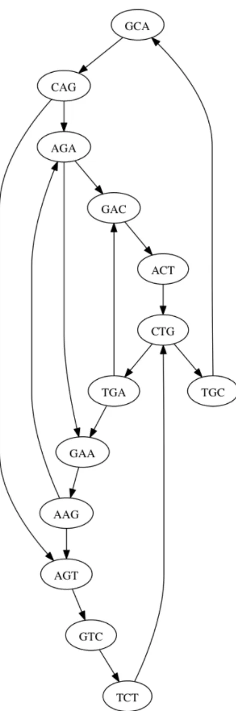 Figure 2.1: Example de Bruijn graph. This figure shows the 3-mer de Bruijn graph for two strings:
