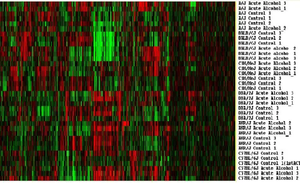 Figure 2.7: Heat map view of Gene Expression from 36 mouse samples. Columns represent genes (variables) and rows display gene profiles from samples (observation).
