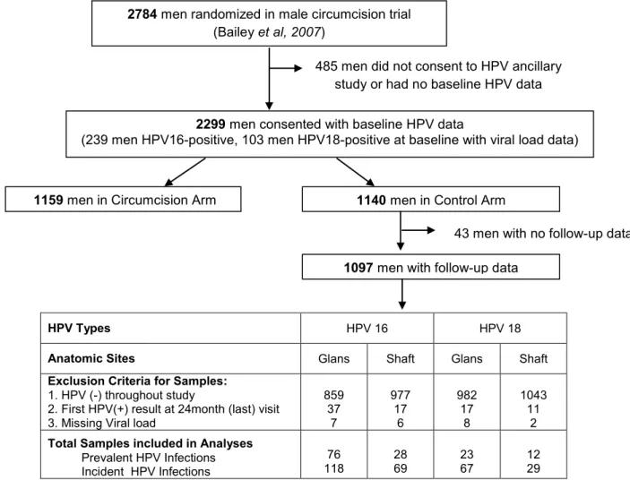 Figure 5.1:  Study flowchart of samples included in analyses of HPV viral load and HPV clearance 