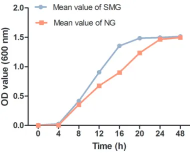 Figure 1. The growth curves of P. gingivalis in SMG group and NG group from beginning to 48 h.