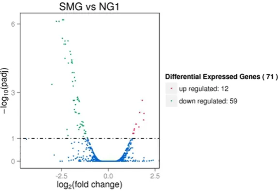 Figure 3. Scatter plot of RPKM distribution in SMG and NG transcripts. The blue dots provide the transcripts with RPKM less than 2-fold changes between SMG and NG.