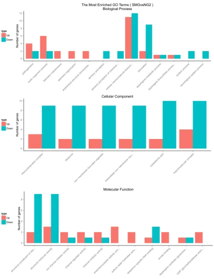 Figure 4. The number distribution of DEGs on biological process, cellular component and molecular function by GO term.