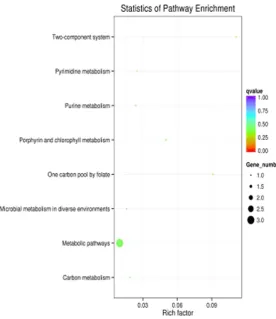 Figure 5. Eight pathways were predicted by KEGG statistics.