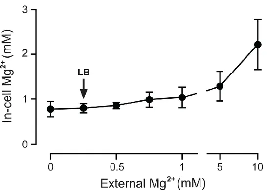 Figure 2.2 Free Mg 2+  concentration in E. coli cells. Free Mg 2+  was measured using  the ion-selective fluorophore, mag-fura-2