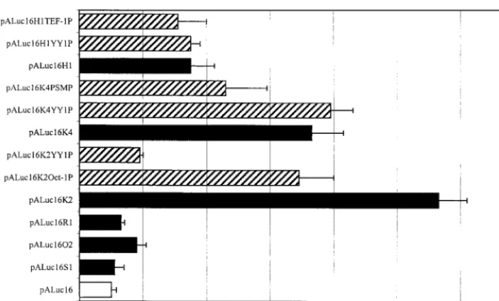 FIG. 1. Expression of luciferase under the control of HPV 16 URR in HeLa cells. The promoter activities of the H1, K2, K4, R1, O2, and S1URR (black bars) were assessed in the context of the prototype URR, which was assigned the value 1 (white bar)