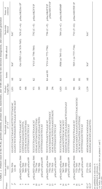 TABLE 2. Primers used in the PCRs, genome positions, product sizes, nucleotides, and TFBS altered by site-directed mutagenesis, and constructs generated