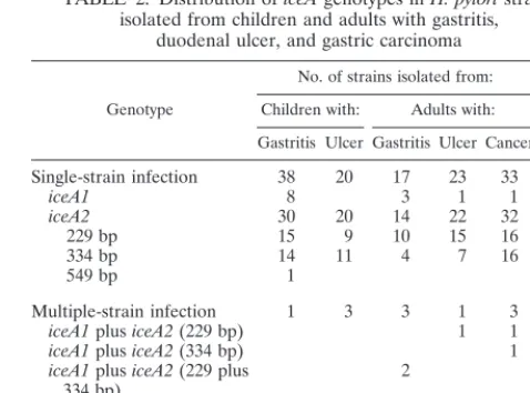 TABLE 1. cagA status of H. pylori strains isolated from childrenand adults with gastritis only, duodenal ulcer,and gastric carcinoma