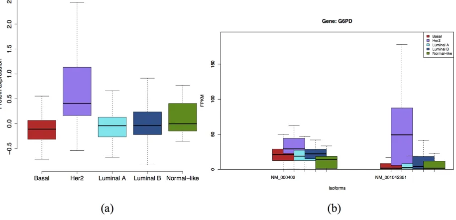 Figure 7: Expression at protein level a. and isoform level b. of G6PD gene. Isoform NM_001042351 and the protein are specific to Her2 subtype.