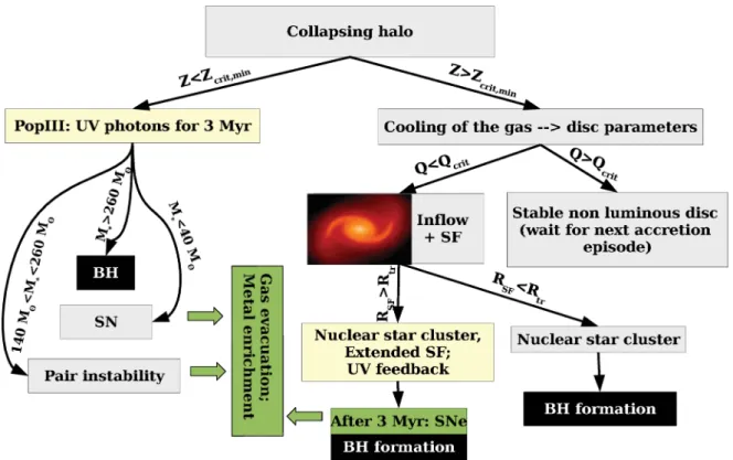 Figure 1. Flow chart of the model (outlined in Section 2) illustrating the different pathways that terminate with the formation of a seed BH, and the different prescriptions used to model the dissipative behaviour of the baryonic component
