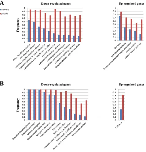 Figure 4: The KEGG pathways separately enriched with up- and down-regulated genes in at least 10% of the TCGA lung adenocarcinoma samples A