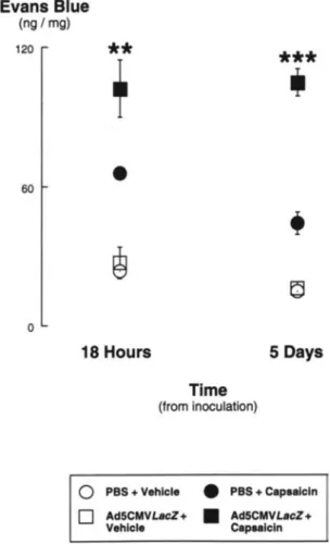 Figure 1. Time dependency of the potentiation of airway neuro- neuro-genic inflammation caused by endotracheal administration of the adenoviral vector Ad5CMVLacZ (3 x 10 12 p/mL)
