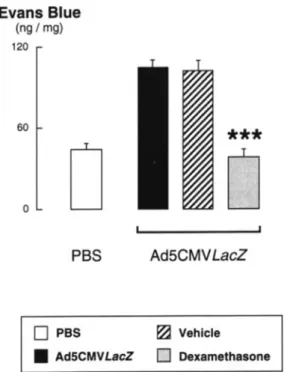 Figure 6. Effect of glucocorticoids on the potentiation of neuro- neuro-genic inflammation induced by the adenoviral vector  Ad5CMV-LacZ