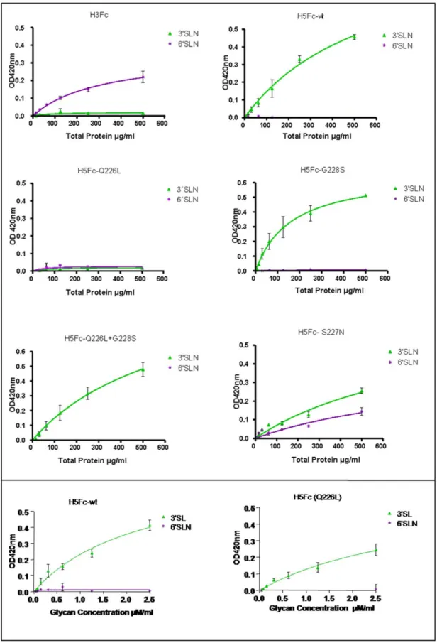 Figure 2. Binding of recombinant HA proteins to synthetic receptor ligands 3SLN (avian receptor) and 6SLN (human receptor) in a solid phase assay