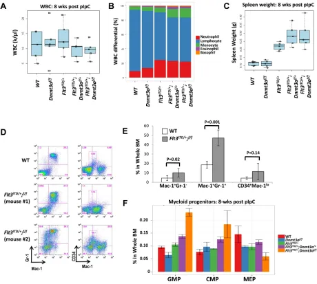 Figure 4: Early signs of disease development and myeloid expansion are present at 8 weeks post pIpC injection