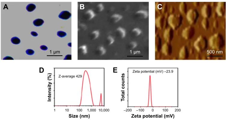 Figure 2 Physical properties of the PLGA-based NanoVac.Notes: (A) Optical image of the NanoVac