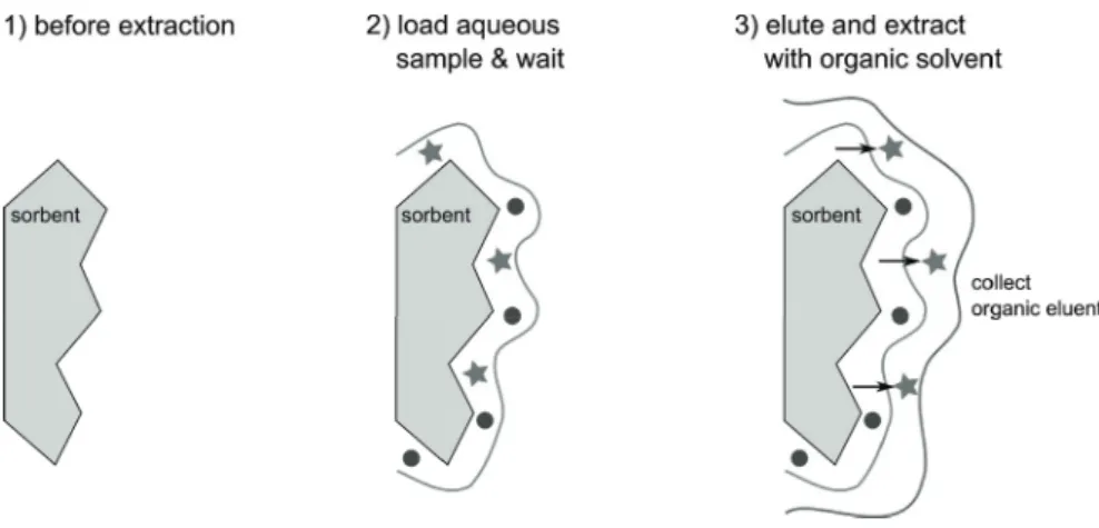 Figure 4: Schematic picture of a typical SLE procedure, modifi ed from[84].